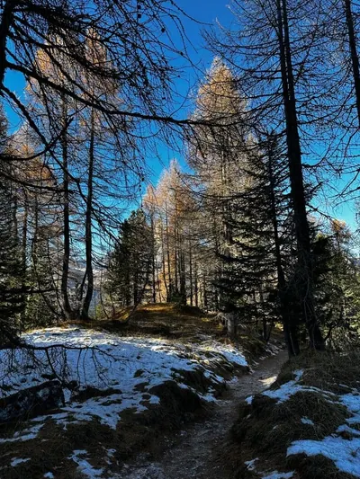 Paesaggio boschivo di montagna — simile alle ambientazioni tolkieniane